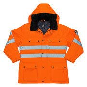 mascot safe arctic