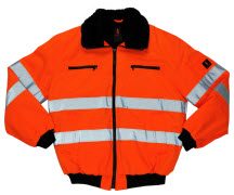 mascot safe arctic